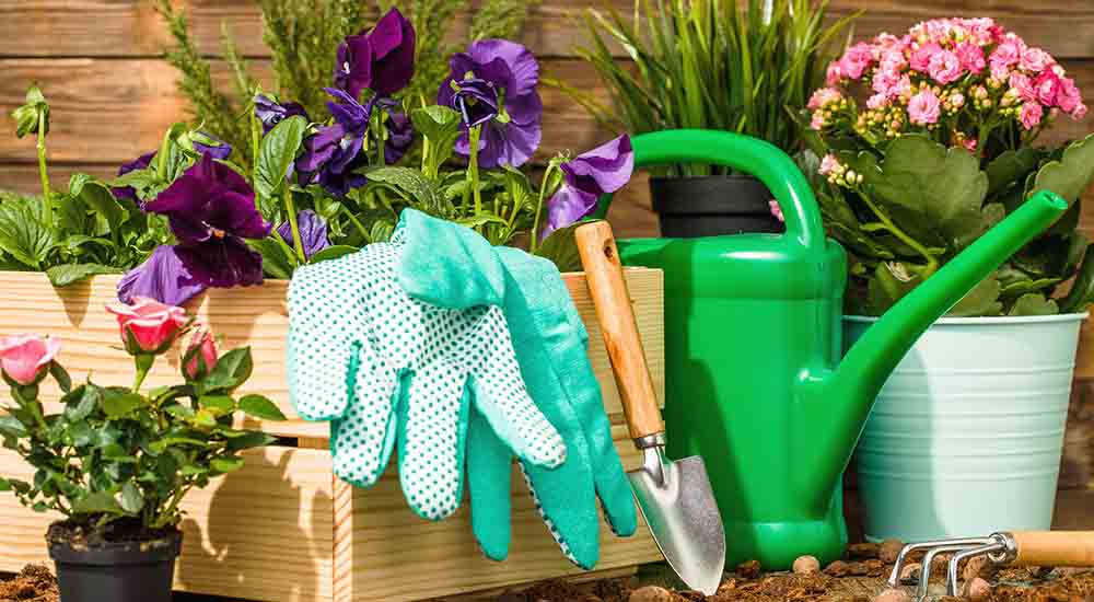 Garden Essentials